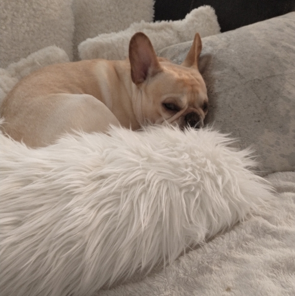 Meet your Posher, Jacqueline - Picture 4 of 5